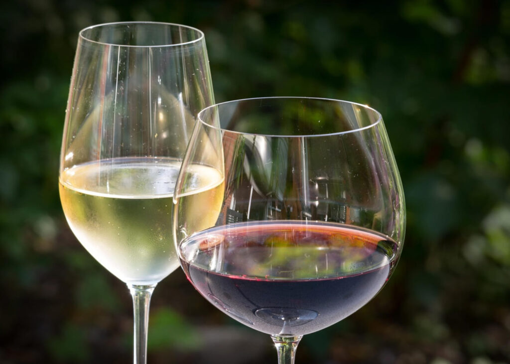 vino