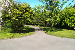 EnPause56