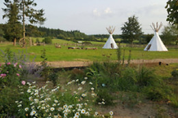 Cowboy Legend Ranch