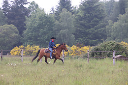 Cowboy Legend Ranch