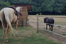 Cowboy Legend Ranch