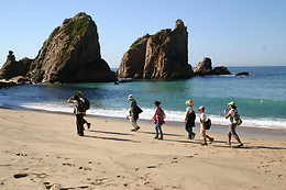 Eco Life Experience - Fuga Perfeita