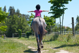 ESCOLA EQUESTRE D´AVEIRO