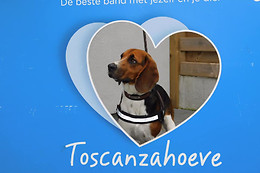 Toscanzahoeve