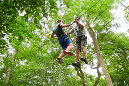 Jumping forest
