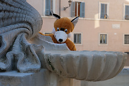 Foxtrail Italia