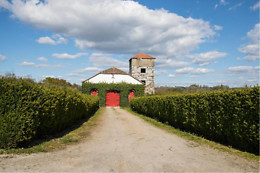 Quinta da Fata