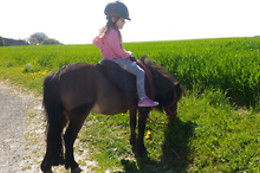 Ecuries Du Grand Chemin