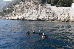 BNR Diving