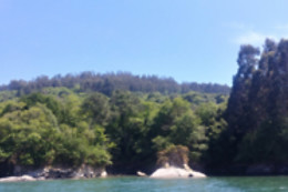 OCHIVO.COM