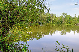 Etang des fontenils