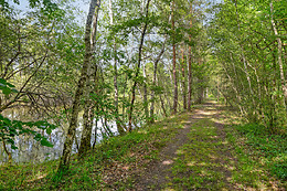 Etang des fontenils
