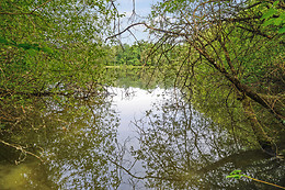 Etang des fontenils