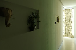 PUY ESTETICA Y WELLNESS