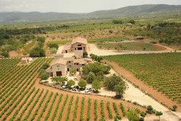 CURSO CATA DEL VINO
