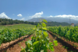 HACIENDA SEÑORÍO DE NEVADA