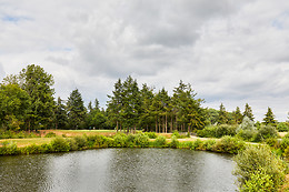 Ugolf Rennes Cice