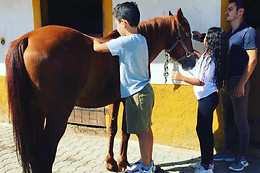 Quinta da Coragem