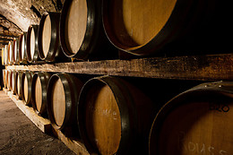Domaine Terre des 2 Sources