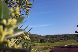 Domaine Charols
