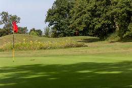 Ugolf Metz
