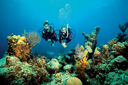 TOSSASUB DIVING CENTER