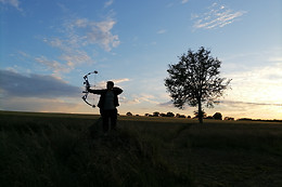 Le Bel Oiseau