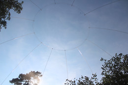 Bulles en forêt