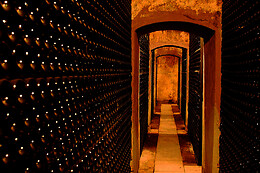 BODEGA PIRINEOS