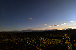 BODEGA PIRINEOS