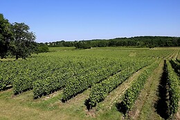 Château Le Noble