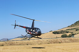 Fly For You