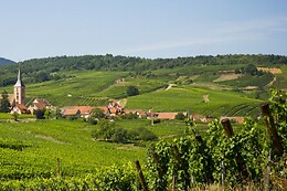 DETOUR ALSACE