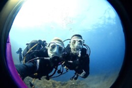THE BLUE JUMP ECODIVING