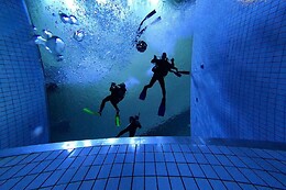 DiveWinns