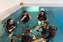 DiveWinns