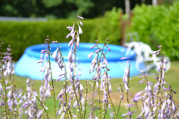 The Little Paradise