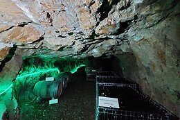 QUINTA DAS MINAS DA RECHEIRA