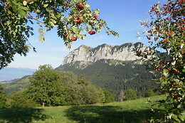 Chalet Le Titlis