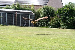 Valkerij De Kaproen