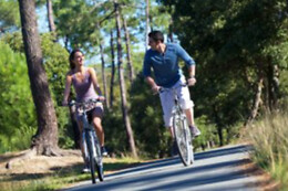 Bikes Adventure