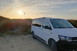 Hakuna Matata Van