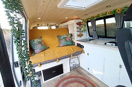 Hakuna Matata Van