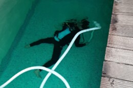 Diving Force