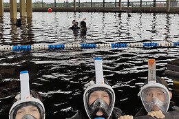 Diving Force