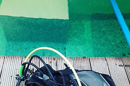Diving Force