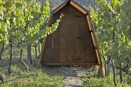 CIMO DA VINHA Nature Spot