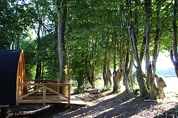 L'igl'houx