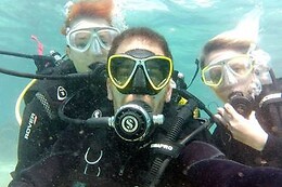 FREEANDIVERS