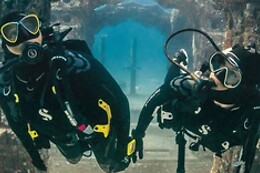 FREEANDIVERS